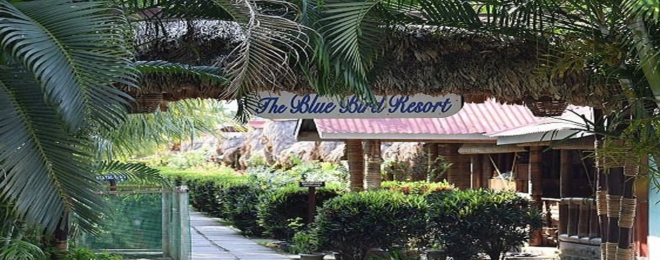 Blue Bird Resort Havelock