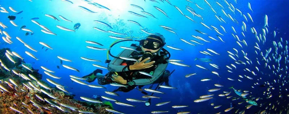 Andaman Dive Deep