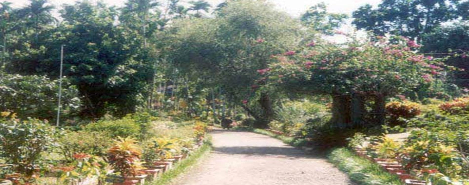 Andaman Agritourism