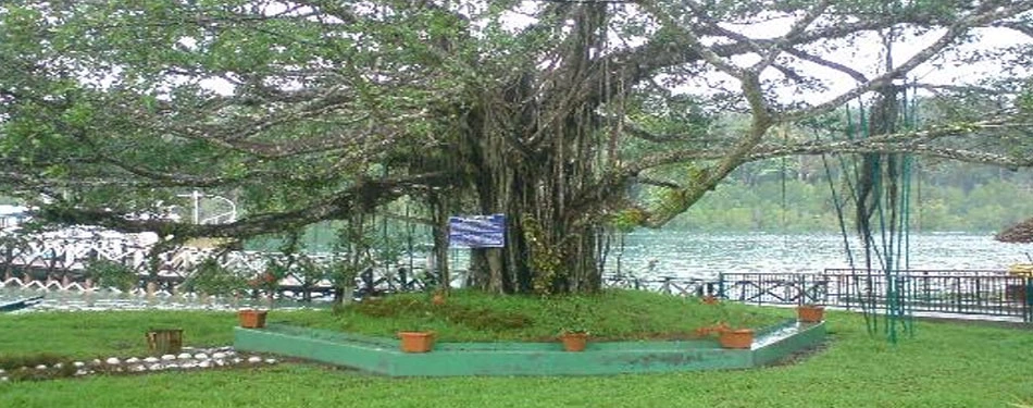 Andaman Botanical Gardens
