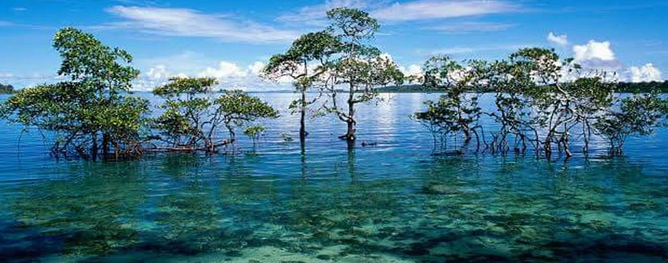 Andaman Best places to visit