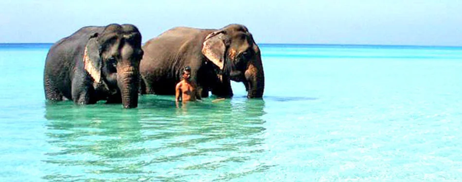 Andaman Paradise