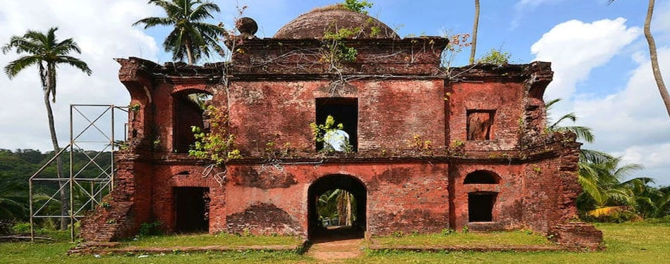 Andaman Viper Island