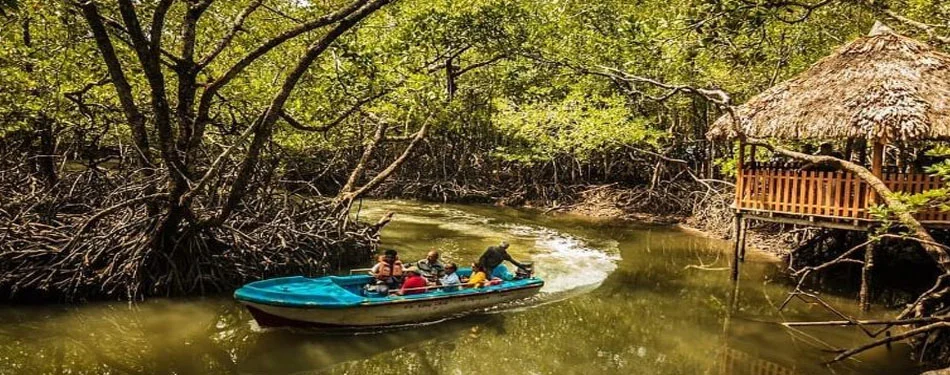 Andaman Baratang Island