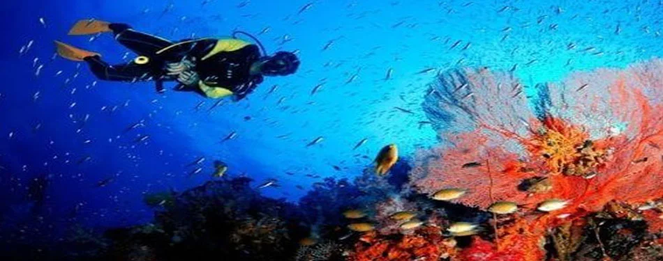 Andaman Shipwrecks