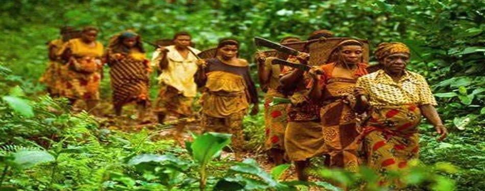 Andaman Protecting Tribal Rights