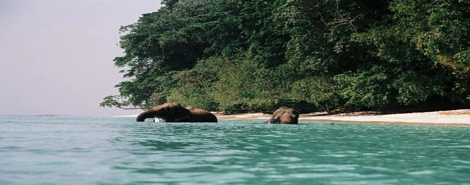 Andaman Rutland Island