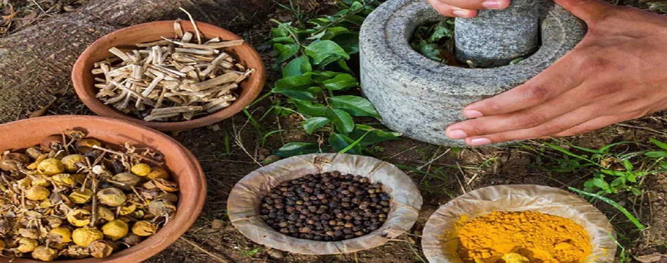 Andaman Traditional Medicine