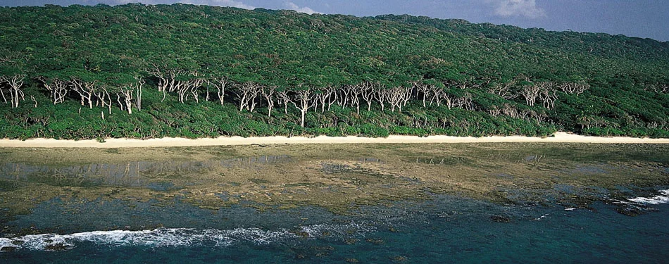 Andaman Mangrove