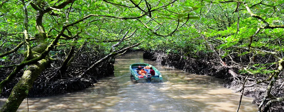 Andaman Ecosystem