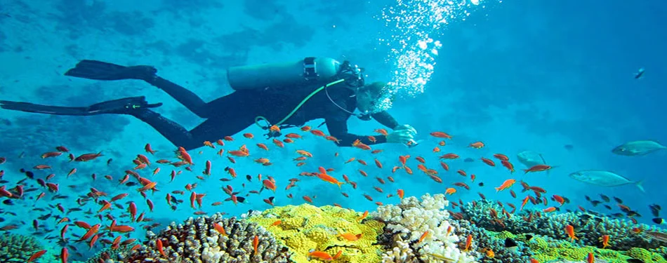 Andaman underwater