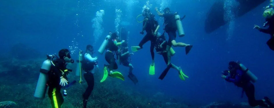 Andaman Booking Scuba Diving