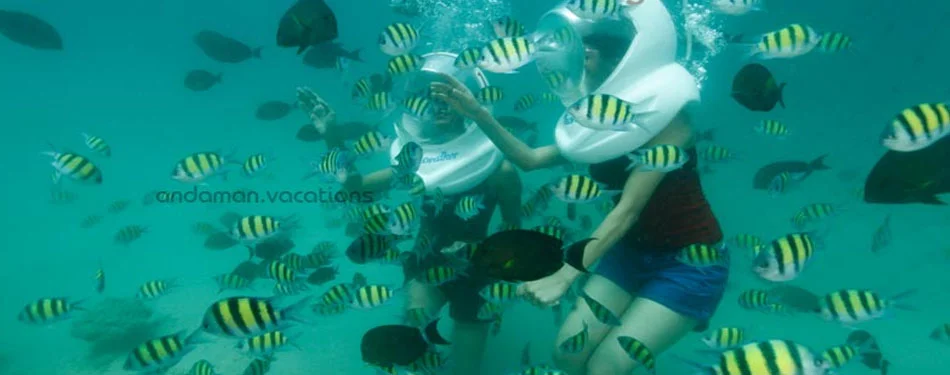 Andaman Underwater Seawalk activity