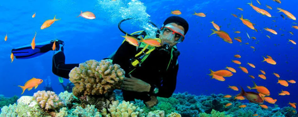 Snorkeling Lakshadweep