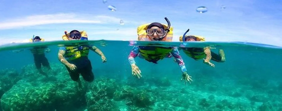 Andaman Snorkeling