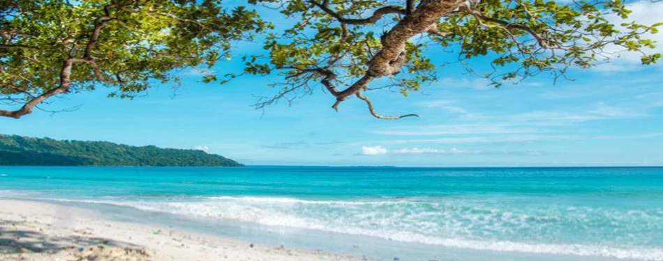 Andaman Mela Beach