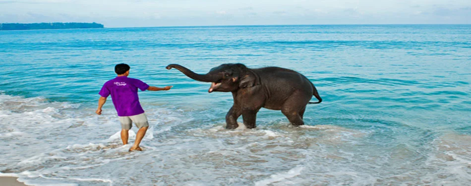 Andaman Charm of Elephant Beach