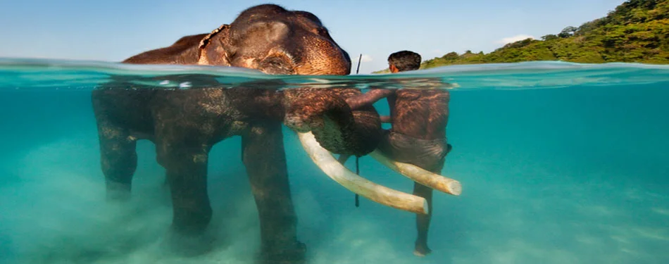 Andaman Elephant Beach