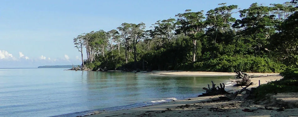 Andaman Wandoor Beach