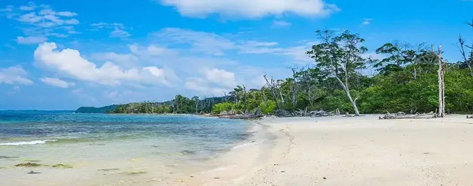 Andaman  Port Blair Tour