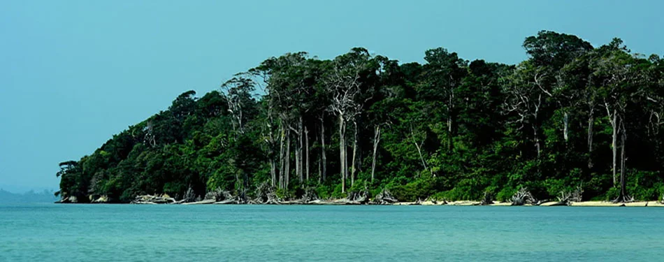 Andaman Packages