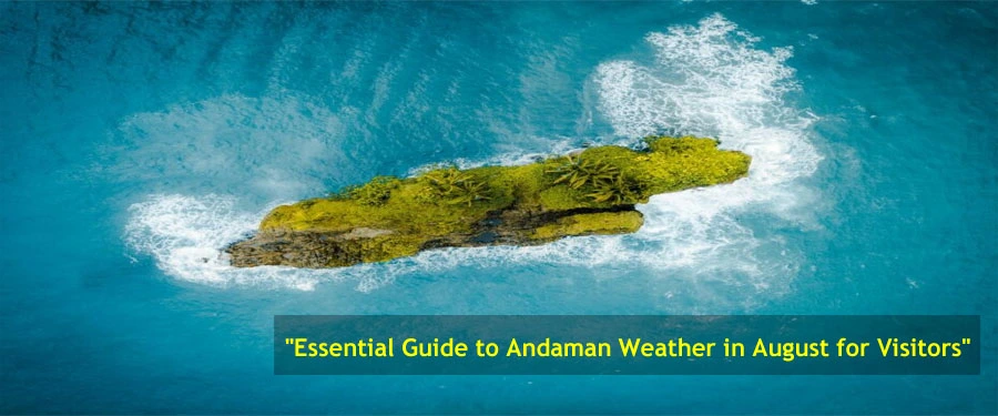 Essential Weather Guide