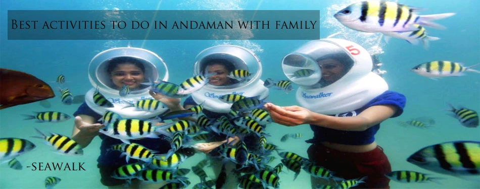 Family Fun Andaman