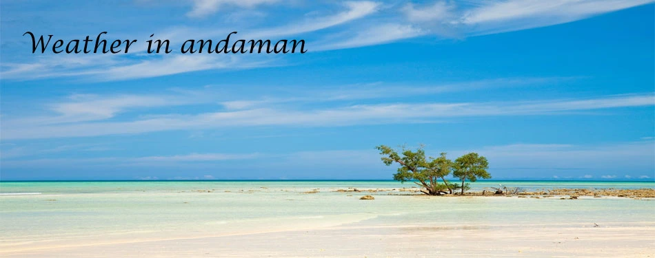 Andaman Visit