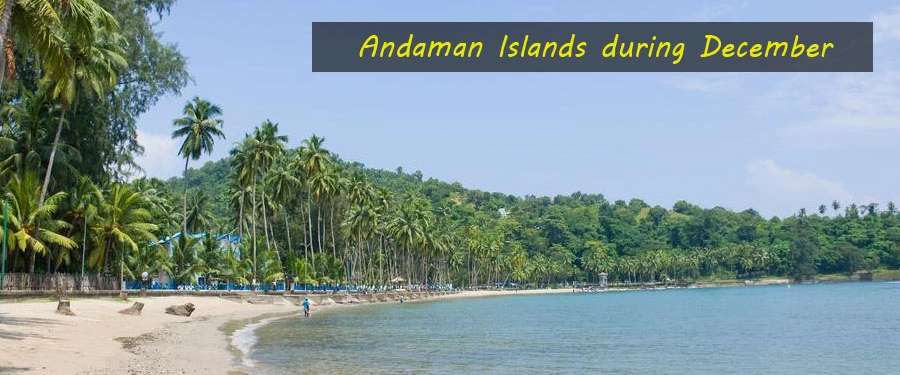 Travel to Andaman Islands in December