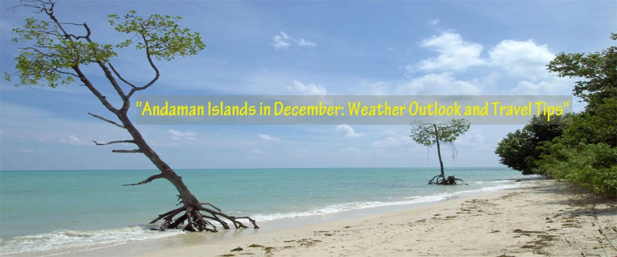 Best time to visit Andaman in December